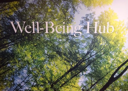 Well-Being Hub image