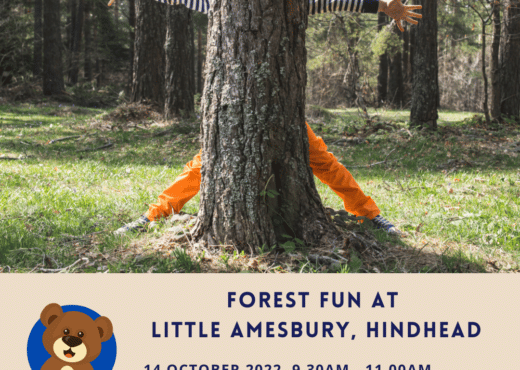 Come and Join in the Forest Fun! image